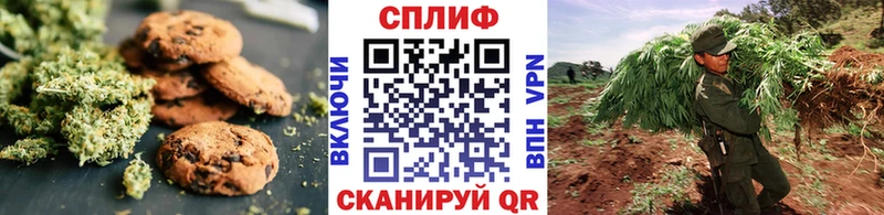 Cannafood конопля  закладка  Лиски 