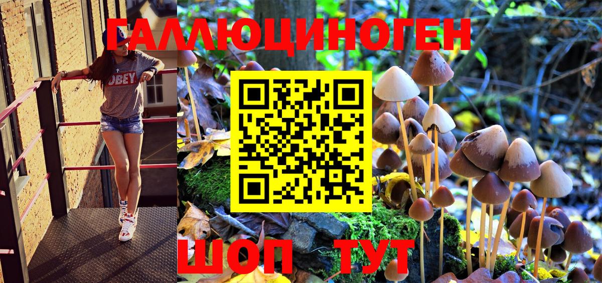 Галлюциногенные грибы мицелий  Вход с VPN  Псилоцибиновые грибы MAGIC MUSHROOMS  Лиски 